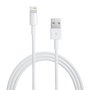 Кабель USB Apple Lightning to USB Cable (0.5m)